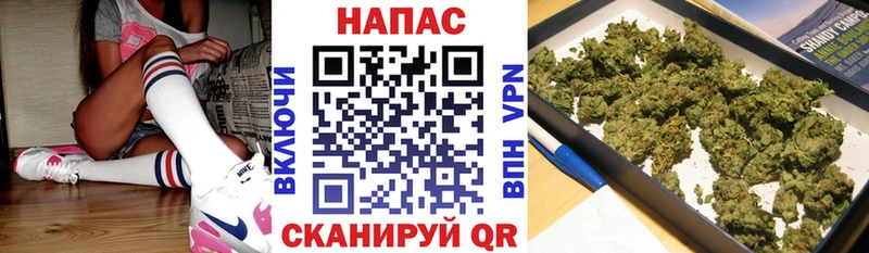 Шишки марихуана гибрид  Чегем 